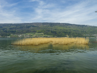 Le lac de Bienne en Suisse aperçu depuis la petite ville bernoise de Nidau