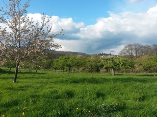 Bad Soden mit Blick auf Kronberg