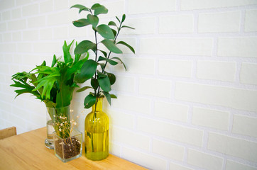 glass bottles with plant on table