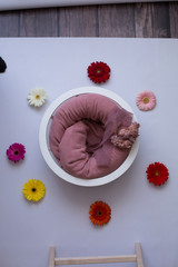 basket for the first newborn photo shoot. white basket. white background. gerbera flowers