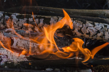 live coals in campfire