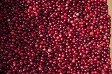 Natural background: berries of a red currant.