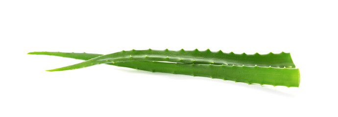 Aloe vera leaves on white background