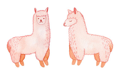 Llama and alpaca collection of cute hand drawn watercolor illustrations, cards and design for nursery design, poster, greeting card. Llamas or alpacas clip-art. Cute animals watercolor illustration.
