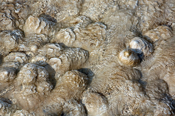 detail of bumby abstract pattern in flowstone, Mammoth Hot Springs, Yellowstone National Park, WY, USA