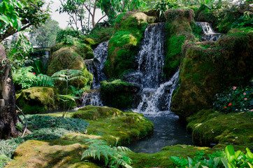 green forest and waterfall