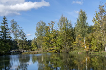 Fototapeta na wymiar Осень в парке.