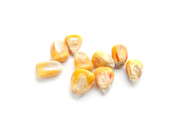 Dried sweet corn kernels on white background
