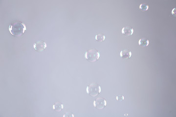 Beautiful translucent soap bubbles on grey background