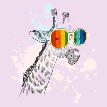 Vector sketch of giraffe with glasses. Retro illustration