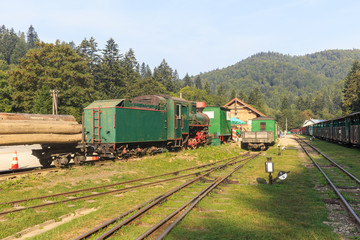 Bieszczady Forest Railway, narrow gauge railway built in a sparsely populated, forest region of Bieszczady Mountains in Poland - obrazy, fototapety, plakaty
