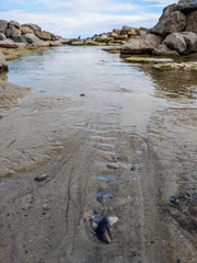 Small creek in the sea during the autumn season