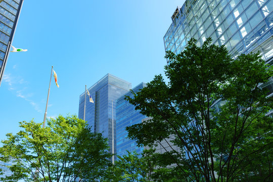 [東京都] 東京国際フォーラム周辺(No.5685)