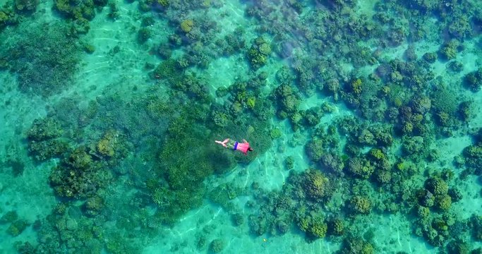 Lone Swimmer Snorkeling In Coral Reef - Overhead View - White Male Tourist In Swimming Trunks