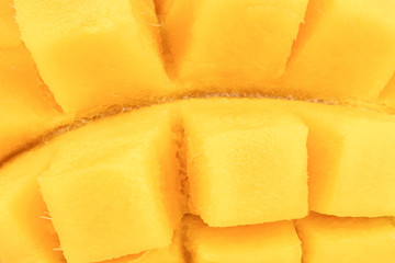 The Mango background. Clipping Path. close-up