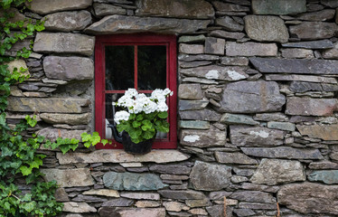 Vintage flower pot kettle on window of old style Irish cottage