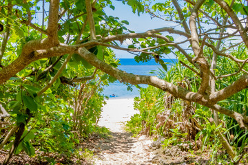 沖縄石垣島　米原ビーチ入口