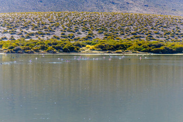 Alg&uacute;n lugar en el desierto de San Pedro de Atacama en el norte de Chile