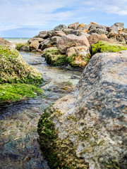 Small creek in the sea during the autumn season