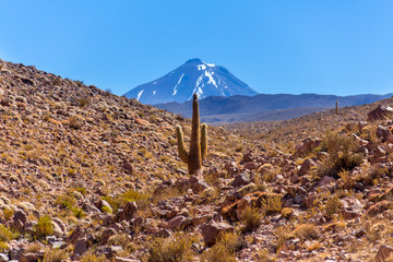 Algún lugar en el desierto de San Pedro de Atacama en el norte de Chile