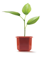 Young plant in plastic pot. Vector 3d illustration.