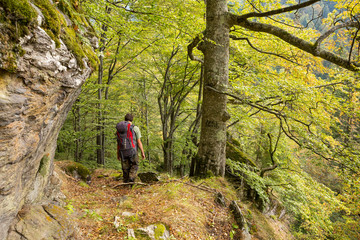 Naklejka premium Ledge