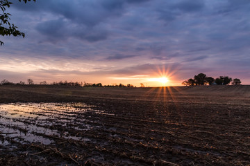 Rural sunrise sunset over a corn field after harvest. Sun peeks through clouds and makes colorful reflections in a puddle of rain water with room for copy 