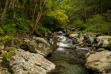 Stream and boulders