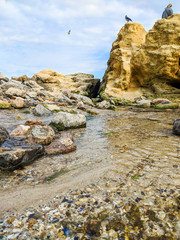 Small creek in the sea during the autumn season