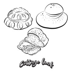 Hand drawn sketch of Cottage loaf bread