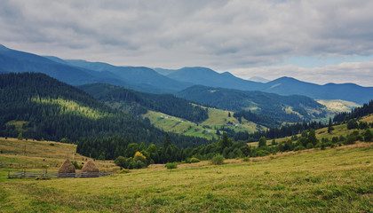 Obraz premium A wooden house on a green meadow in mountains. A house near old forest.