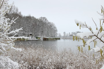 Winter am See