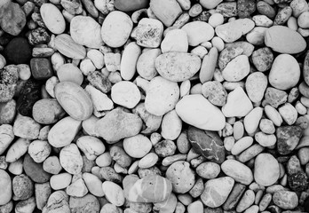 Pebble color black and white.