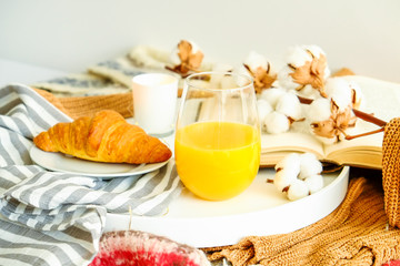 Morning breakfast in bed, white tray with glass of fresh orange juice and french croissant, decorative cotton boll branches, stripped blankets, knitted sweater. Close up, top view, background.