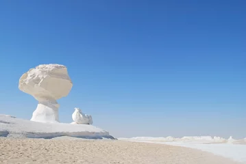 Photo sur Plexiglas Sécheresse The limestone formation in White desert Sahara Egypt
