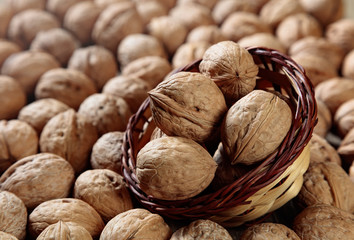 walnuts isolated white background