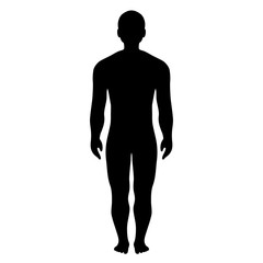 Human male body vector illustration © Arcady
