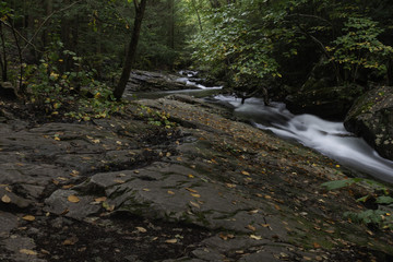 Bedrock covered with fallen leaves