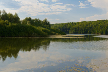 lake with wooded shore and sky reflection