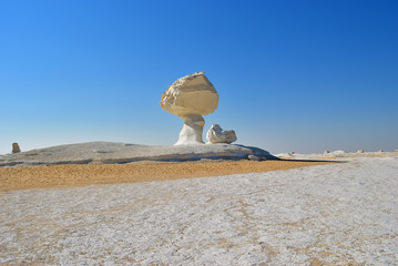 Fototapeta na wymiar The limestone formation in White desert Sahara Egypt