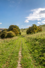 A pathway through green Sussex countryside, on a sunny autumn day