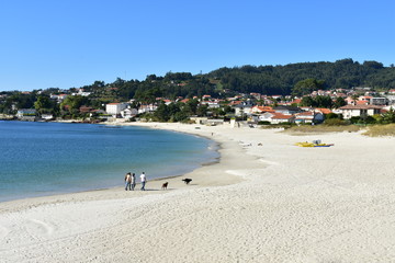 Beach with people and dogs walking. White sand and turquoise water, blue sky. Pontevedra, Rias Baixas, Spain.