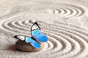 Fototapeta na wymiar Sand, blue butterfly and spa stone in zen garden. Spa concept.