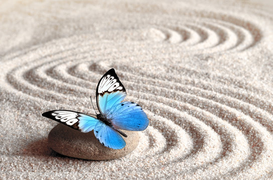 Sand, blue butterfly and spa stone in zen garden. Spa concept.