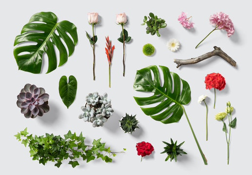 Blumen- und Pflanzenszenen-Kit