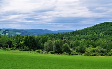 Fototapeta na wymiar Blue Skies in Northern Maine