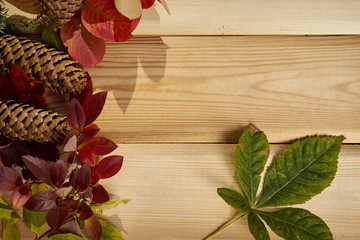 beautiful autumn background with leaves, acorns and cones on an old wooden table