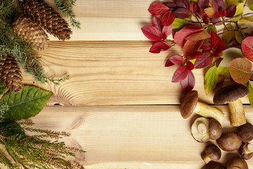 beautiful autumn background with mushrooms leaves and cones on an old wooden table