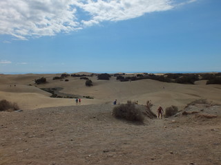 Sand und Steinwüste