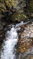 Fototapeta premium Strumień